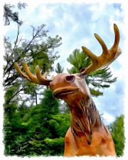 Minnesota Moose