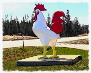 Why Did the Chicken Cross the Road?