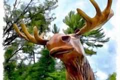 Minnesota Moose Minnesota Moose